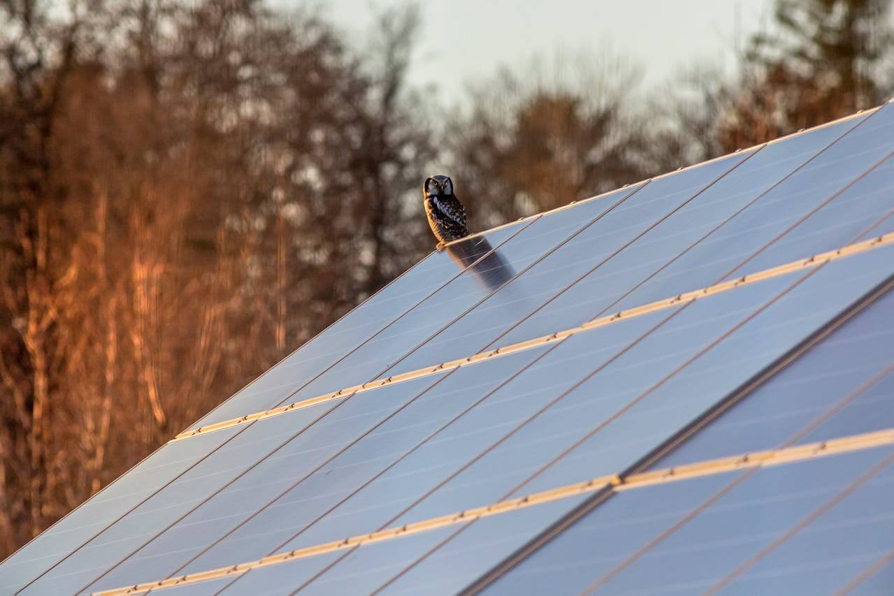 Saulės elektrinės veikimas skirtingais metų laikais