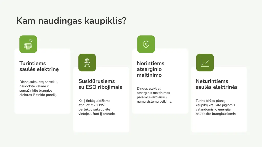 kam reikalingas elektros kaupiklis